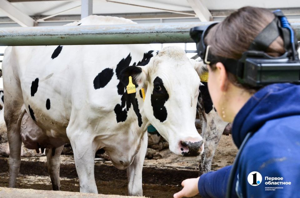 ������������ ����������� ������� ��������� ����� ��������� ���������