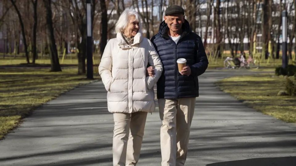 ���� ������ ���������� �����������: ����� �������� ���� � �������