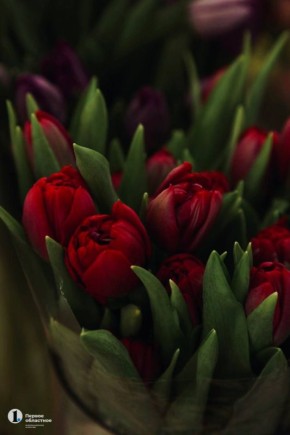 Флористы на 8 марта не только составляют букеты, но и становятся свидетелями милых историй