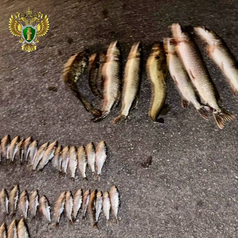 ���� ������� ����� ������� ����� ����� �� ���������� ����� ���� �� ���������� ������������� ����� ��������� �