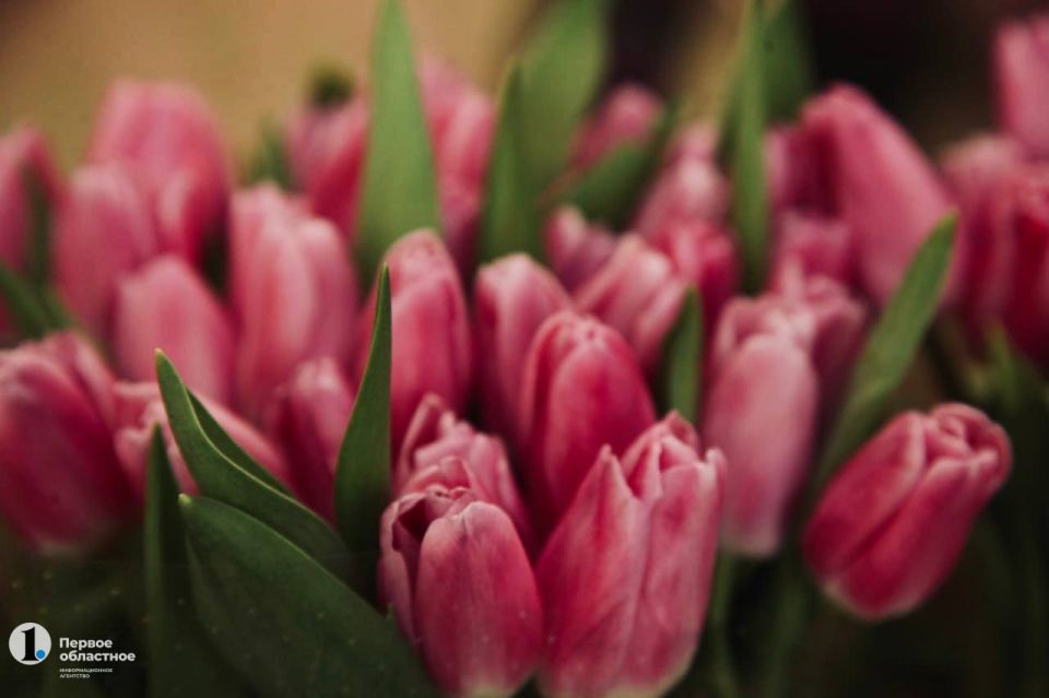 Что делать, чтобы букет на 8 Марта не завял на следующий день