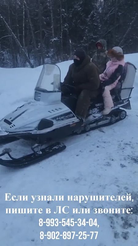 � ����������� ������� ������� ������ �� ���������� ������������� �����