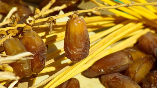 ������� ���� �������������� ������� �������� ������ � ����������� �������