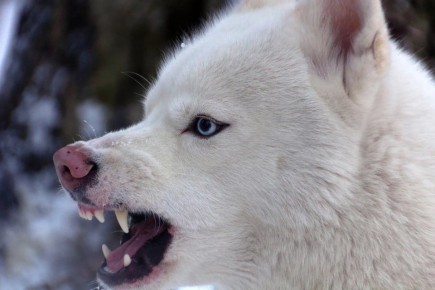 ���������� ������� � �������� �������� �� ���������