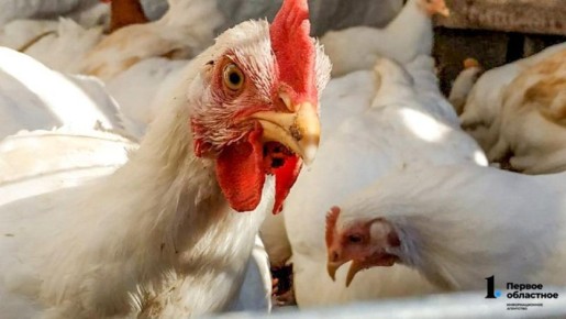 ������� ����� �������� ���������� ����������� ������� ������� ��������� �������