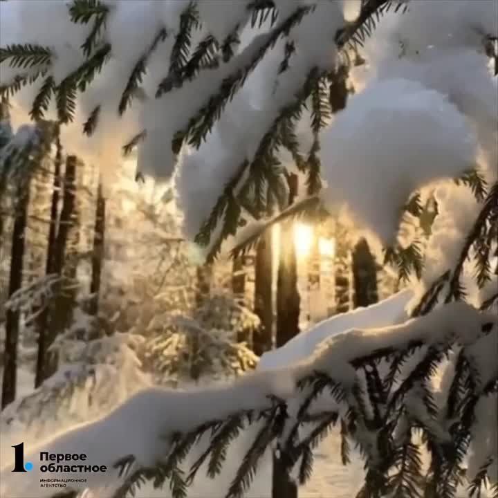 �������� ���� � ����������