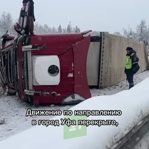 �� �5 ������������ �������� ������