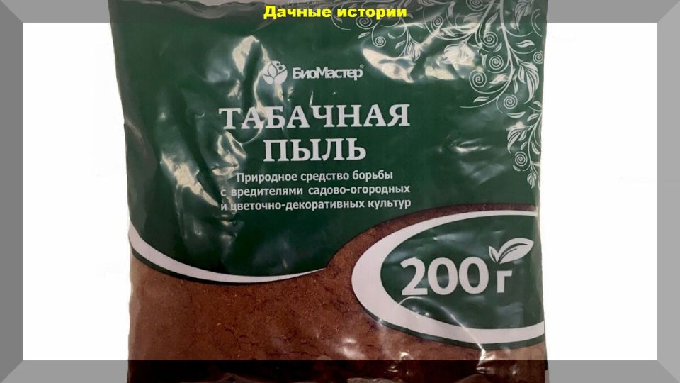 ��� ������������ �������� ���� � ����: ������� ����������� ������ � �����������