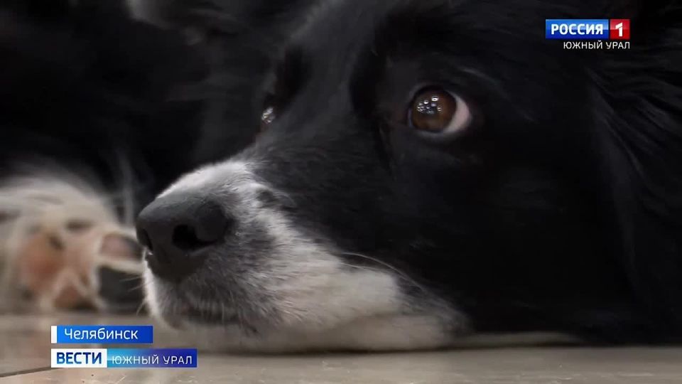 �������� ��� ������ �����. ��������, ��� �� ������� ������ �������� ������ �����