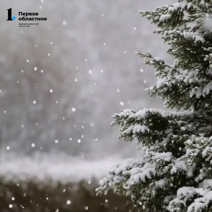 ����� ��� ����� ����. ����� -9��