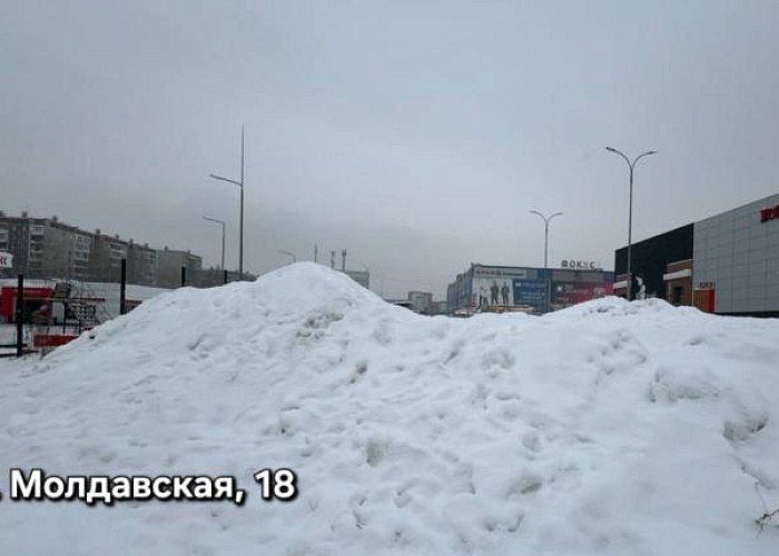 ������ �� ������������ ���� �������� ����� ����������� ����������