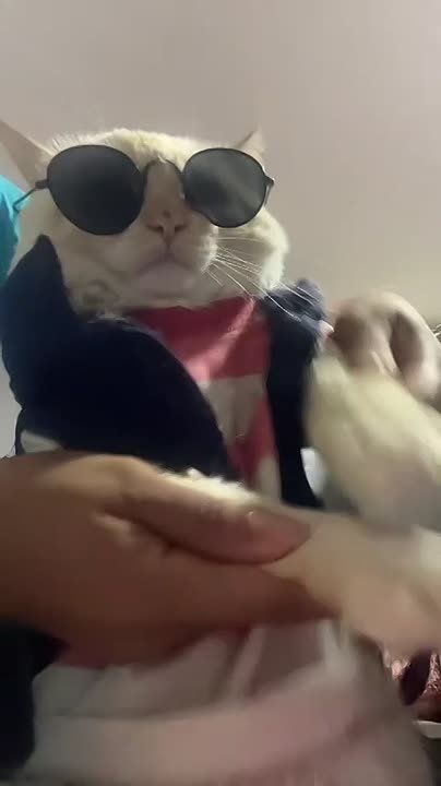 #������������31. ���� � ������� ������������ ������������ �������� ��� ������� ����������, � ����� ���������� �� ������ �������