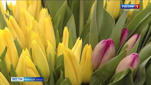 ������� ���� ��� � ������ ������ �������� � ����������� �������