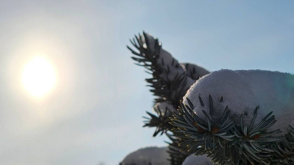 ���� � ��������� ����: �������� �������� ��������� � ������ � ����������� �������