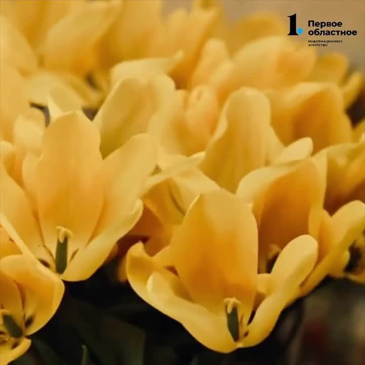 Теплое солнышко в женский день