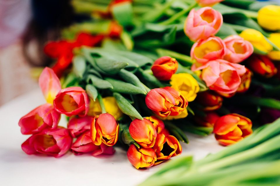 Подержите его за кончик или посмотрите на срез: как выбрать свежие цветы, рассказывают специалисты