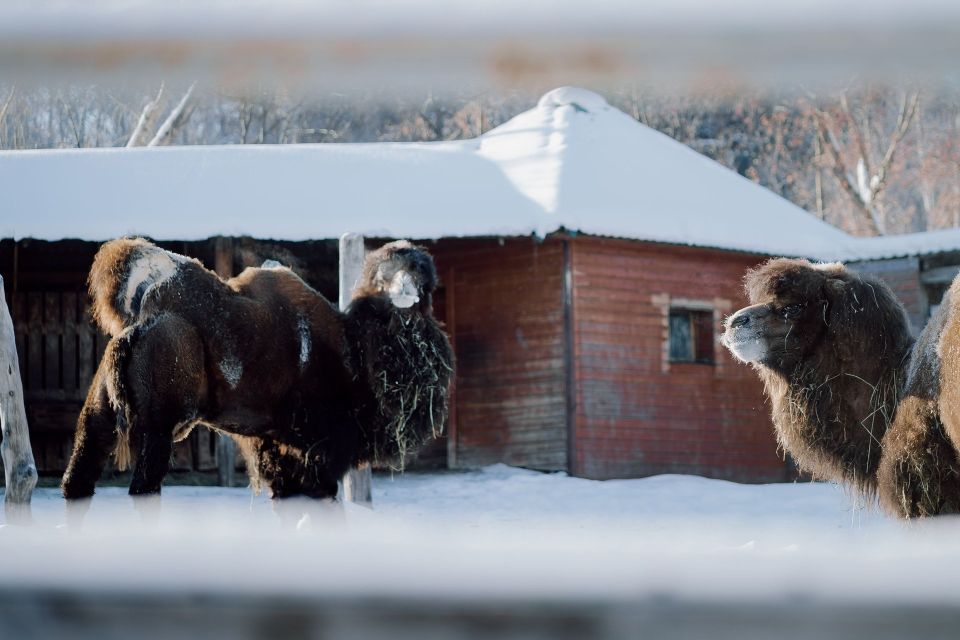 Потепление перед заморозками: синоптики предупредили о резкой смене погоды в Челябинской области