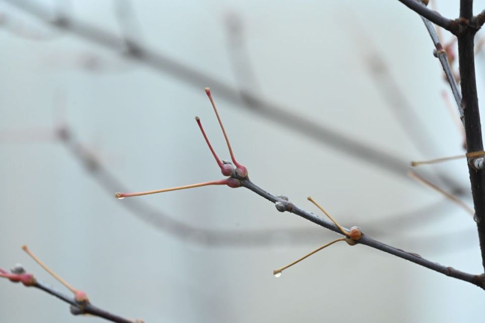 Доброе утро, южноуральцы!. Сегодня воскресенье, 8 марта