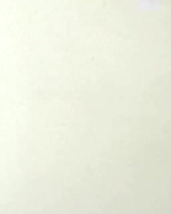 Ну, всё, мы на гастроли! Ведущие 31 канала переквалифицировались в артисты