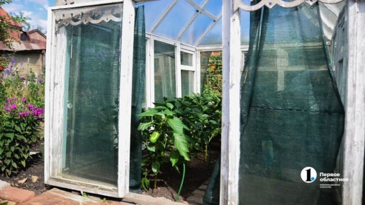 Когда сажать перец на рассаду в марте