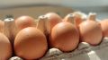 В Минсельхозе России оценили риски дефицита куриных яиц