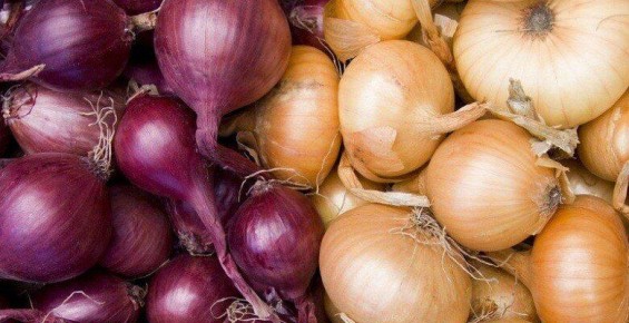 ���������� ����-�����: ������� �� �������, ������� ������ �������