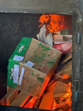 Полицейские Южноуральска уничтожили более пяти килограммов наркотических средств, изъятых из незаконного оборота