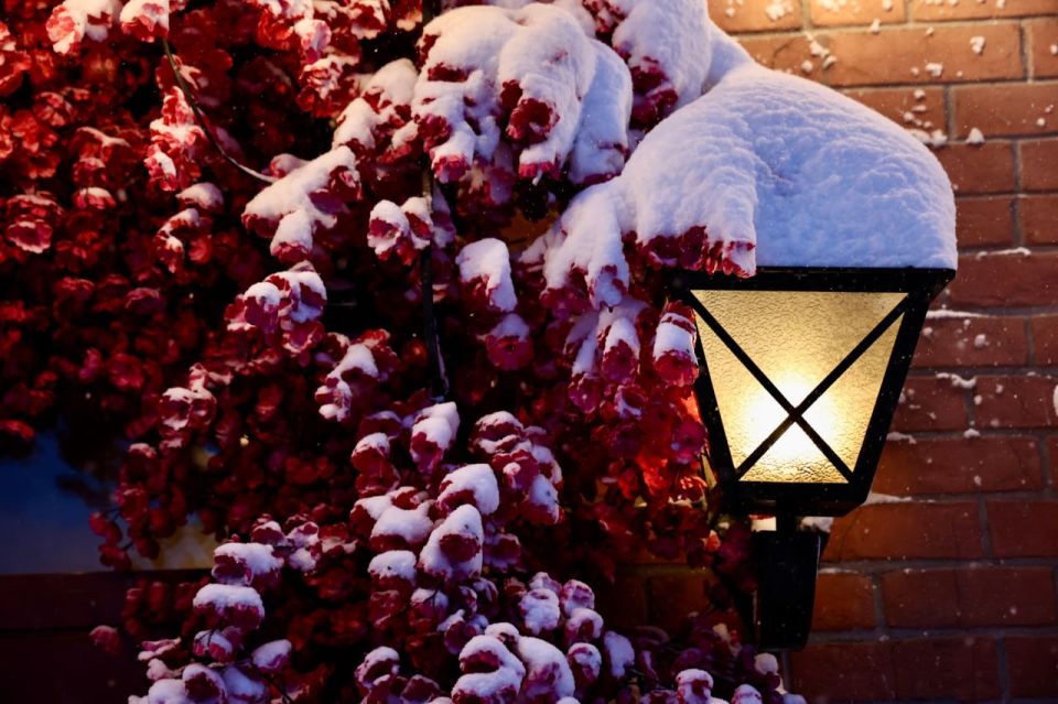 ������ ����������� ���������� ������� ������� � ����������