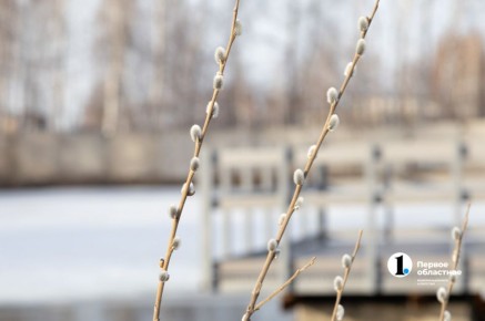 В Челябинской области 30-градусные морозы сменятся оттепелью до +5