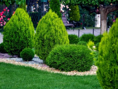 Как правильно ухаживать за газоном весной: советы для идеальной травы