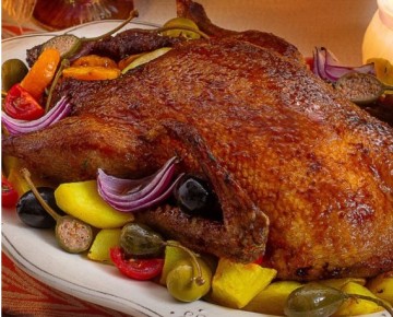 ����, ������������� �������� � �����������, ���������� � ����������, ���������, �������� � ���������� �����