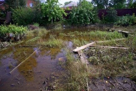 ��� ������ ����� ���������� ����� ���� � ��������� ����� � ����������