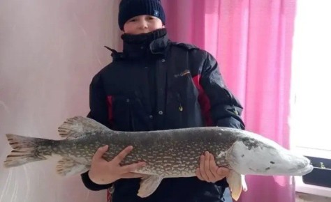 Школьник из КатавИвановска поймал гигантскую царьрыбу