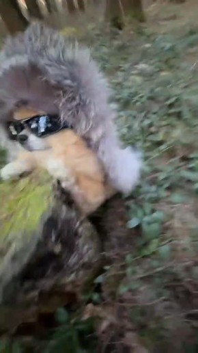 #������������31. ����, ��� �� � ������ �� �������� ���������� � ��� ������� ���� ������� �� ������