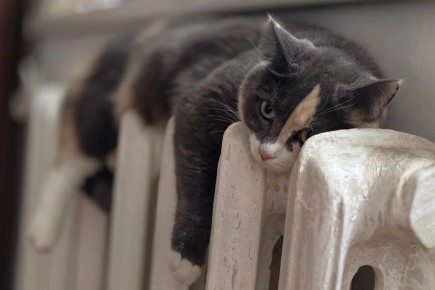 �������� ����� ��������� �� �������� �������: ������� ����� ��������� ���� ��� �� ��� � ������ 2026 ����