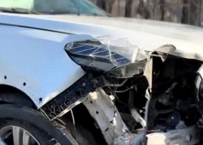 17-������ �������� �� ������������� ������ ���� �������� � ����������