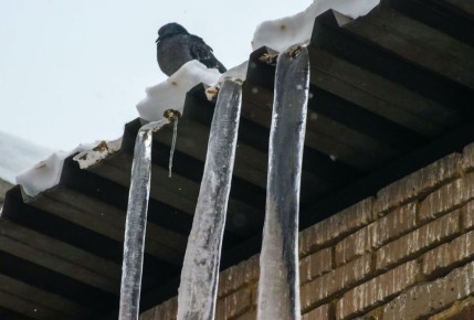 � ���� ����������, ���� ���������� �� ������� ������ �� ������ � ����������