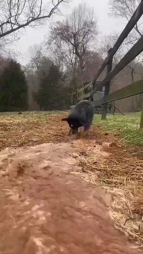 #������������31. ��� ����� ���� ����� �������� �� ������ � ������ ������ �������� �������� ������ � ������ ����������� ���� �����������