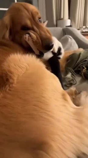 #������������31. ����������� ������� ��� ��������� ��������� � ������� ���������� ������ �������� ���� ������ �������� � ������ ��������