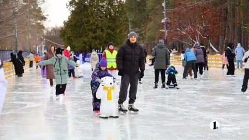 На катках Челябинска за зиму побывали более 80 тысяч человек