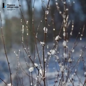 � ���������� ������� �������