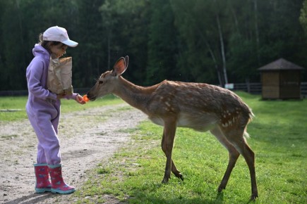 �����, ������ � ��������: ���������� ������� ���������� ��������� �� ��� ���