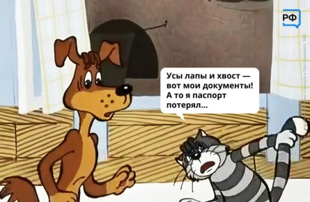 Выронили паспорт на улице или просто где-то забыли? В МАХ рассказываем, как восстановить утерянный документ