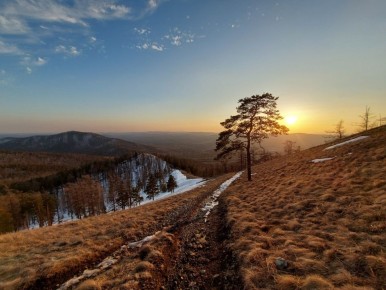 �� �������� ��������� ���� ����������� �������������� ���������