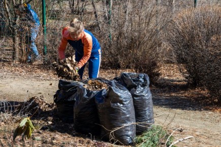 Приглашать на субботники в Челябинске начнут через домовые чаты