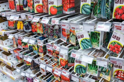 ����������� ������ �� ����� 120 ����� �������� �����