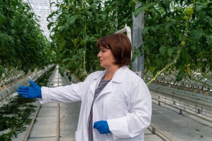 Челябинская область увеличила агроэкспорт до рекордных 280 млн долларов