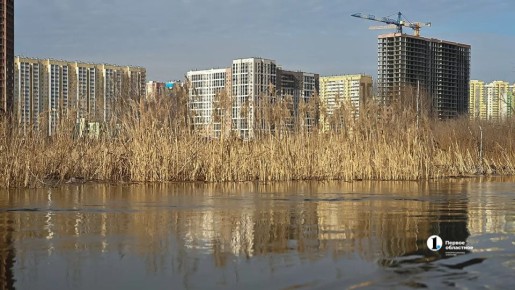 В Челябинской области очистятся источники, станет больше рыбы и птицы