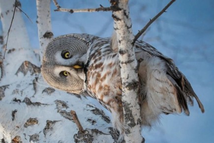 � ������������� ���� ����!