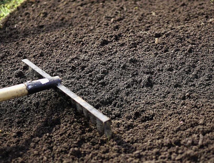 Как вернуть жизни вашей почве после сбора урожая